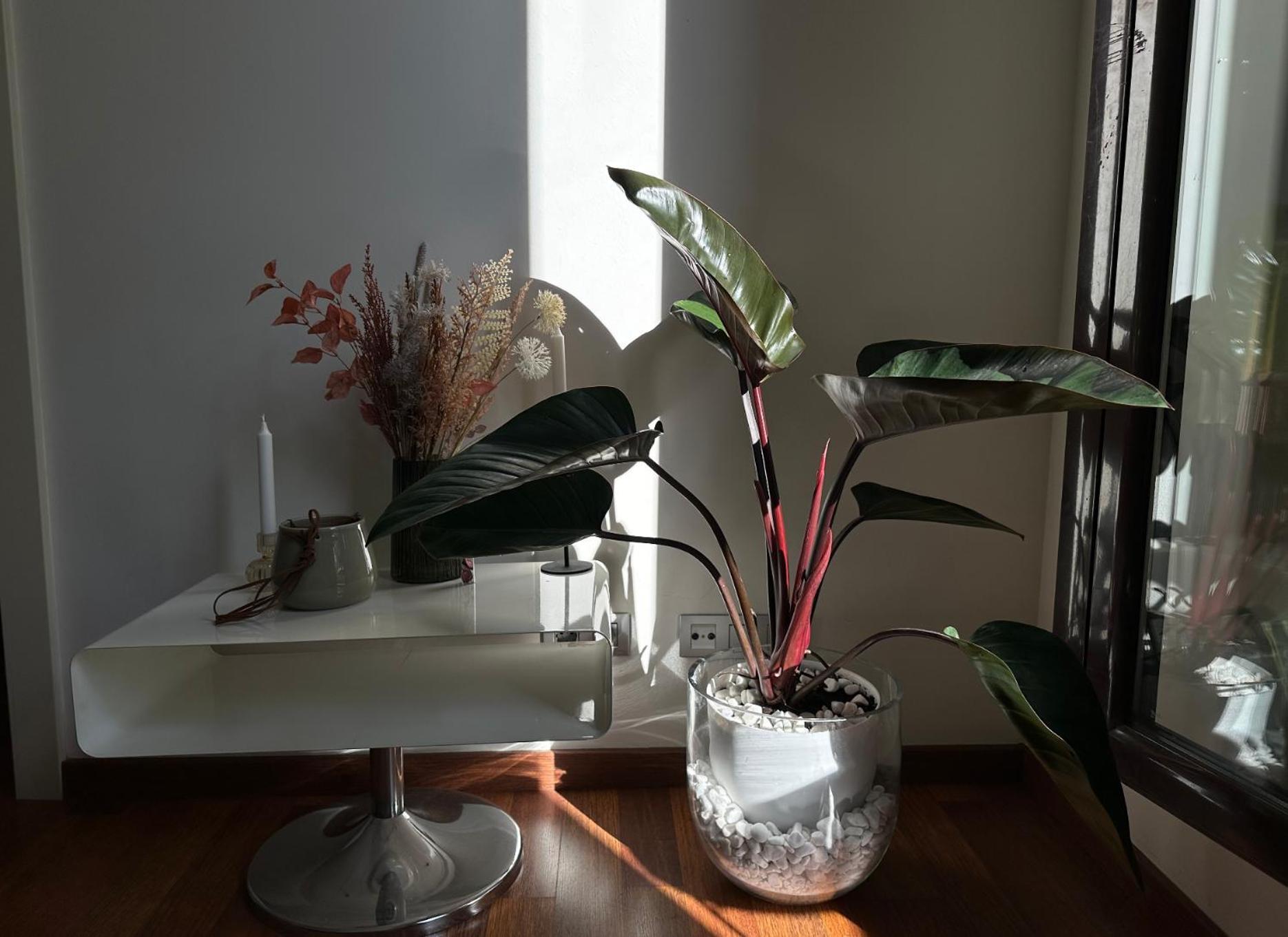 Cozy Place Picasso Apartment Barcelona